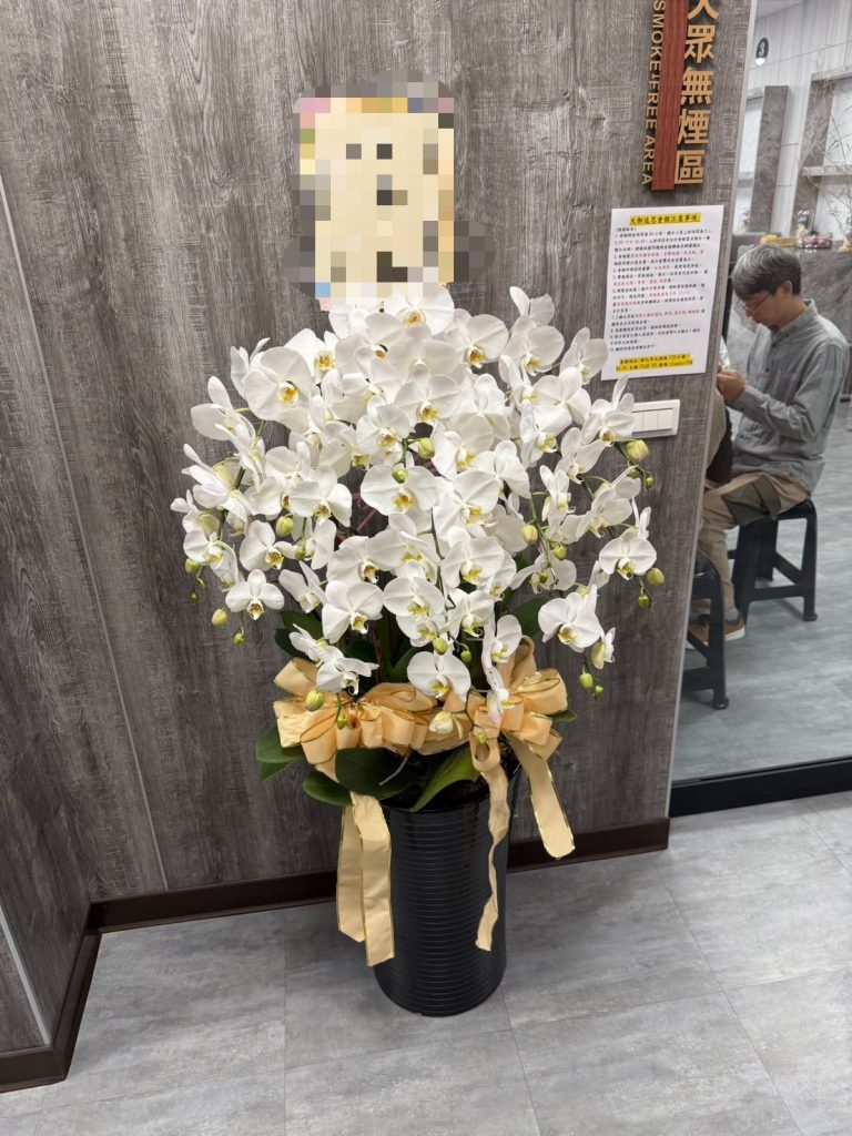 蘭花（11株）
