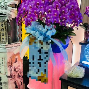 水母蘭花(單盆)